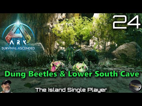 Ark Survival Ascended The Island | E24 Dung Beetles & Lower South Cave -  YouTube