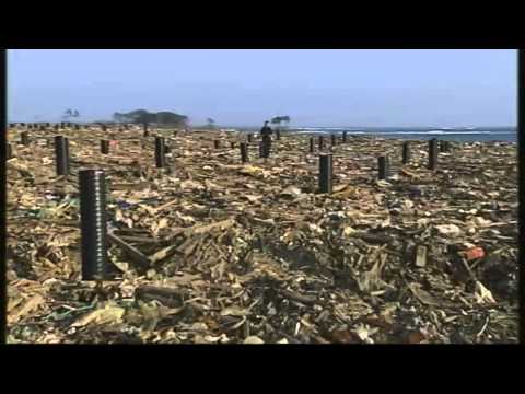 Japan tsunami - a clean-up like never before