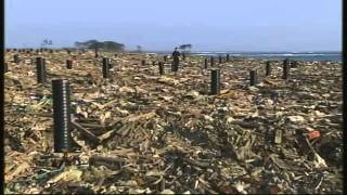 Japan tsunami - a clean-up like never before