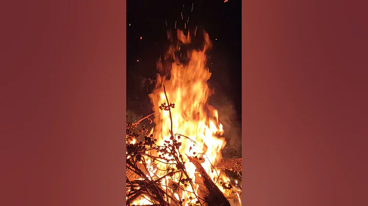 Bon Fire