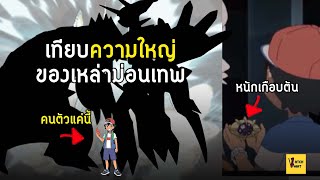 ความใหญ่ ยาว หนักของโปเกม่อนเทพ I Pokemon