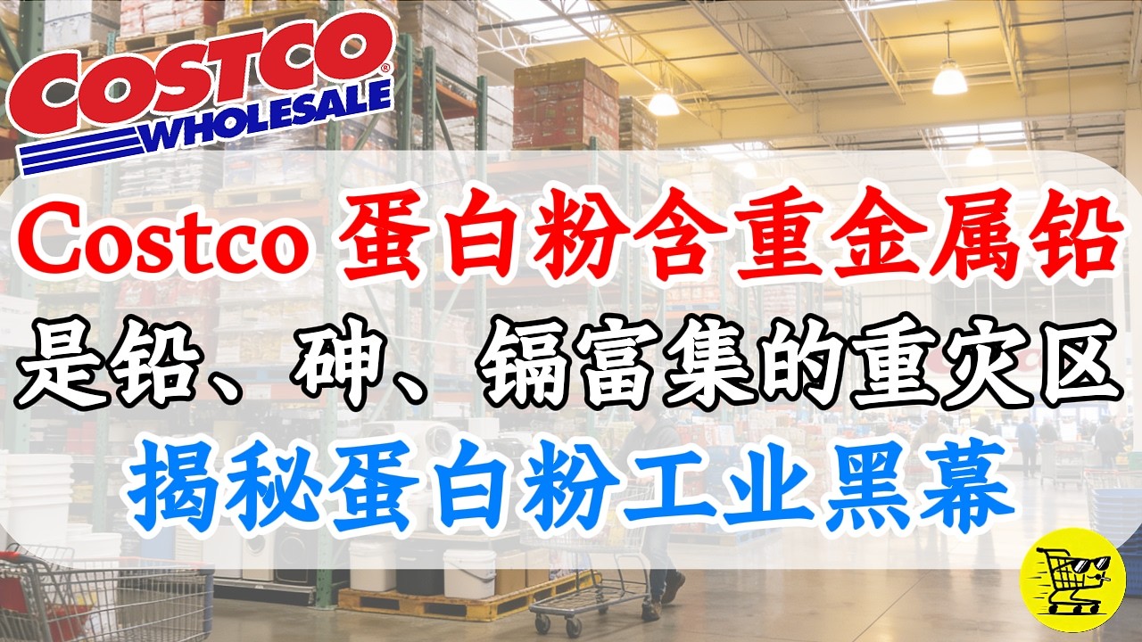 Costco蛋白粉终极审计：植物蛋白含“铅砷”？揭秘“己烷溶剂”提取与“氨基酸掺假”真相！