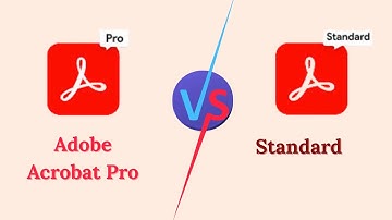 Adobe Acrobat Pro Vs Standard – Which Version Should You Choose? (2025 Feature Guide)