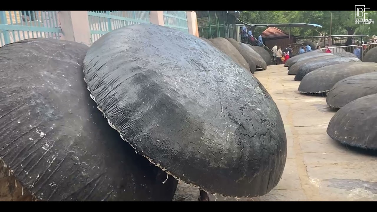 || HOGENEKKAL || One day trip from Bangalore. || GoPro 9 ||