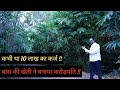 Bamboo Farming ने बनाया करोड़पति || कभी था 10 लाख का कर्ज || Successful Farmer || Hello Kisaan