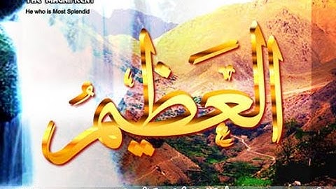سورة التكاثر بصوت القارئ الشيخ عبد الرحمن العوسي