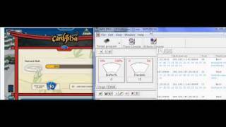 Clubpenguin Cheats - How to hack your Ninja Percent