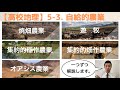 【高校地理】5-3. 自給的農業(遊牧、焼畑農業など) | 5. 世界の農林水産業