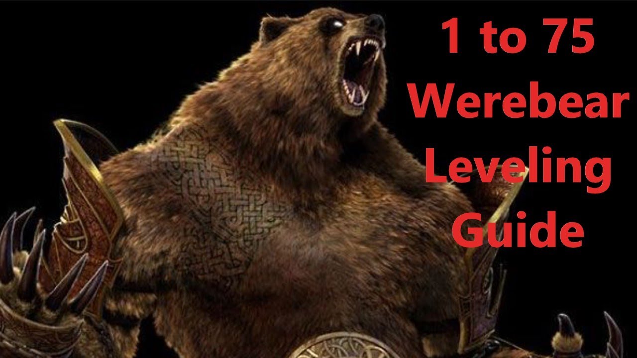 1 to 75 Leveling Guides For Werebear Druid NO EQ NO Roots 0.8.2I YouTube