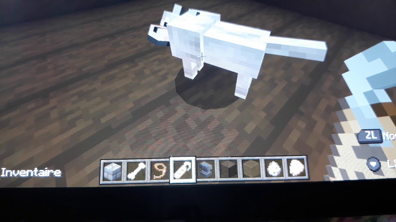 Comment dresser un chien dans Minecraft - YouTube