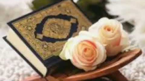 #فيديو 5 ساعات# قرآن كريم# بدون حقوق الطبع والنشر#