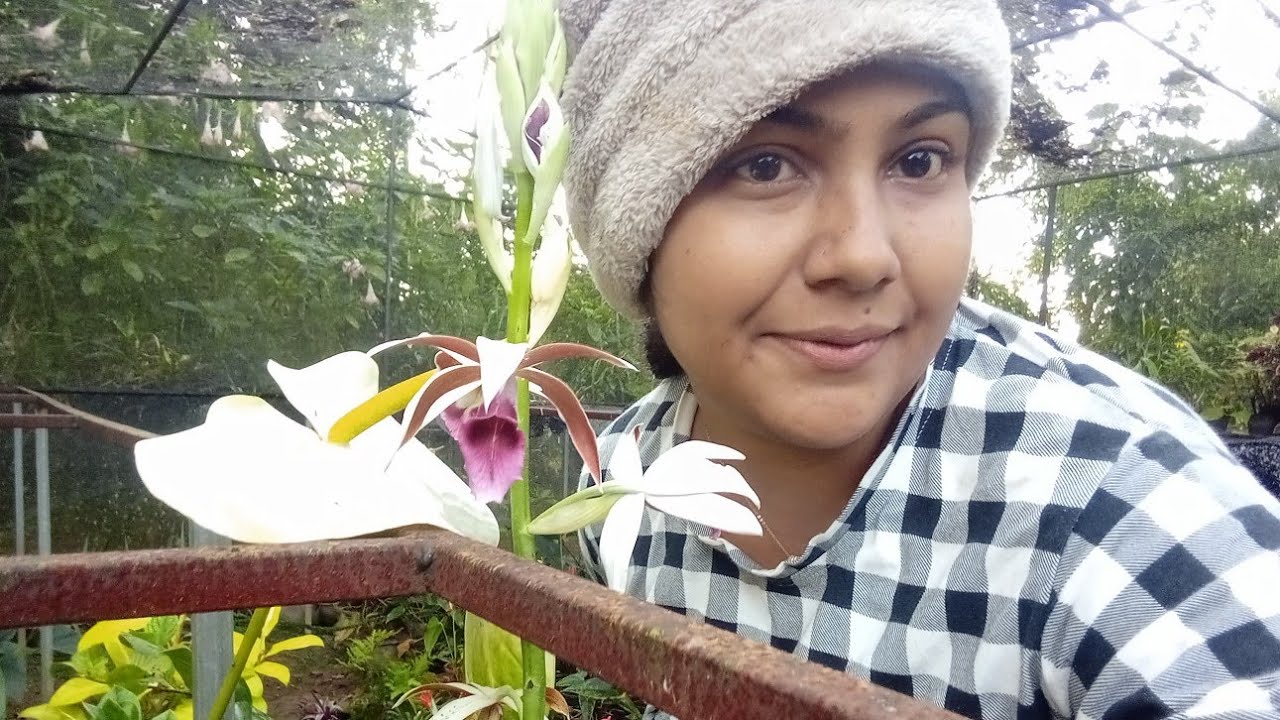 ගොඩක් දවසකින් ආවේ හොදේ.