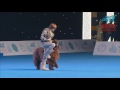 Fci dog dance world championship 2016  freestyle final   marina novoselova and funnyuf russia