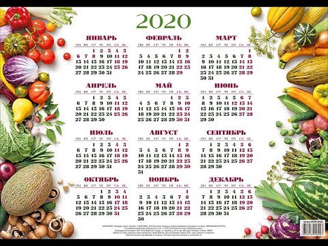 Календарь на 2020 год с праздниками и выходными