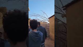Two Men Manage to Grab a Tree down among Everyone’s Laughter