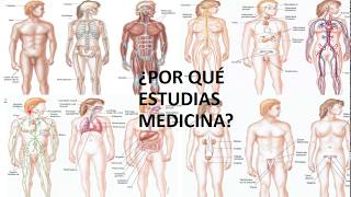 REPASO INTERGALÁCTICO DE FISIOLOGÍA: CAPÍTULO 1 - INTRODUCCIÓN A LA FISIOLOGÍA