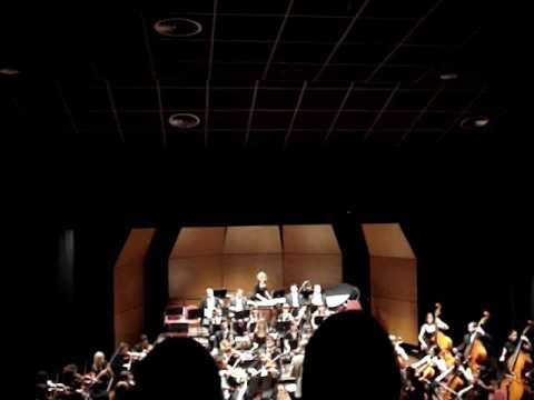 sinfonia 101 haydn 1er mov.orquesta sinfonica ciut...