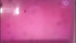 فاصل جديد قناة روتانا فيلم 2021