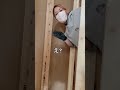 楽ちんにゴミを下ろす凄技が最高! #女大工 #現場女子 #大工