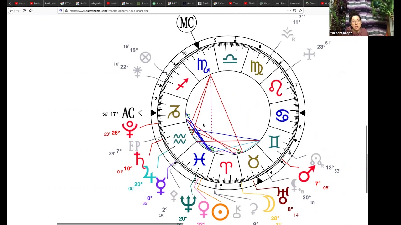 Placidus House System Chart