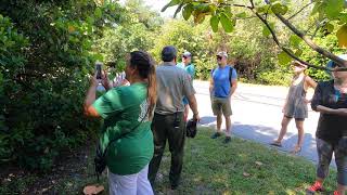 Ranger Guided Tour of Hugh Taylor Birch State Park