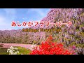 あしかがフラワーパーク 【藤】栃木県/Ashikaga Flower Park Wisteria in Tochigi 
