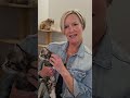 RAPS Cat sanctuary pt 1