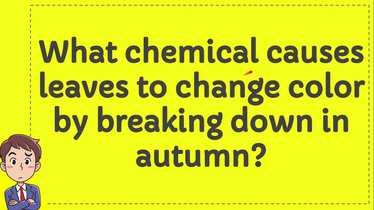 What chemical causes leaves to change color by breaking down in autumn