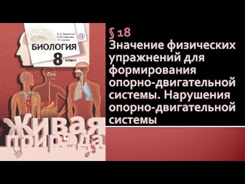 Биология 8 класс. Значение физических упражнений для формирования опорно-двигательной системы