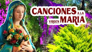 Cantos a la Virgen María ❤ Enséñame María ❤ Virgen del Rosario 2024 by La Voz de María 429 views 3 days ago 53 minutes