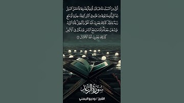 سورة الرعد | Ar-Ra‘d | آية 17 | الشيخ وديع اليمني