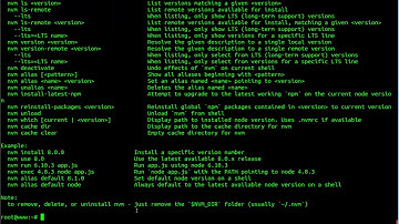 How To Install Node.js via NVM Node Version Manager on Ubuntu 18 04 LTS