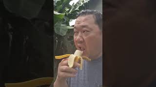 Vào vườn vơ vét