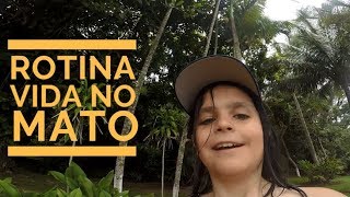 VIVENDO NA SELVA MEXICANA | SOBREVIVENCIALISMO | RECEITA DE SALADA MEXICO
