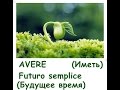 verbo avere futuro semplice italiano russo глагол иметь будущее время итал русс