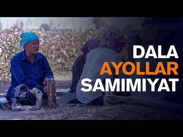 Tomoqqa chuqur sorish video