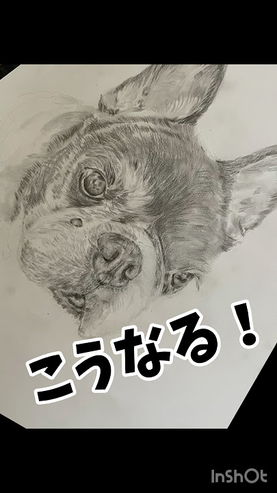 フレブルsmileにメロメロ➖　広がるatuniiの輪😛　#shorts #dog #フレンチブルドッグ #笑顔 #happy
