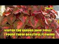These Beautiful Garden Shop Flowers Are Absolutely Stunning