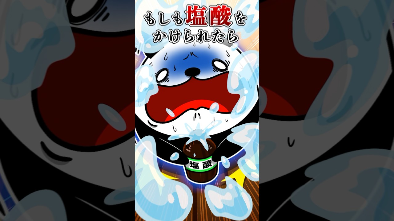 もしも塩酸をかけられたら #テイペン #plottアニメ