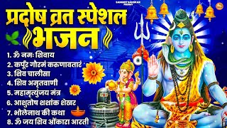 Pradosh Vrat 2026 Special Shiv Bhajan | Om Namah Shivaya | Peaceful Shiv Dhun