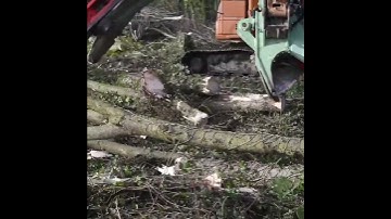 ORIEL Tree Shear Versatility