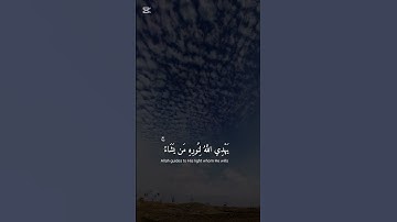 #اكسبلور #إسلام_صبحي #راحة_نفسية #تلاوة_خاشعة #تلاوة_مؤثرة #الرحمن #duet