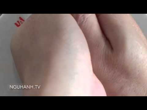 Video Gieo quẻ Kinh dịch, Lục hào - youtube
