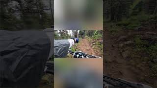 Motorcycle Fails: Tree Limb Leads to Hilarious Dirt Bike Crash! #shorts