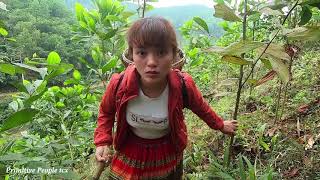 Primitive Life : Ep 23 - Ethnic girl meets forest people after being cured