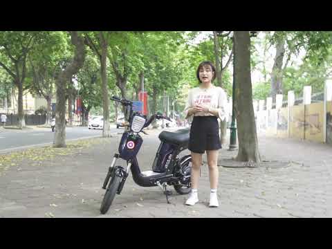 Video Hướng Dẫn Sử Dụng Xe Đạp Điện PEGA Cap A9+ | Xe Điện... - youtube