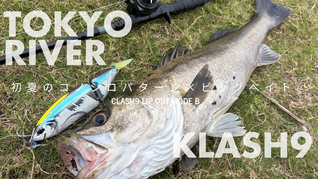KLASH9 東京湾奥河川のビッグベイトゲーム - YouTube