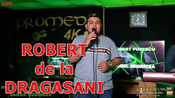 ROBERT DE LA DRAGASANI SI DANIEL NEGRICEA - HORE DE ASCULTARE