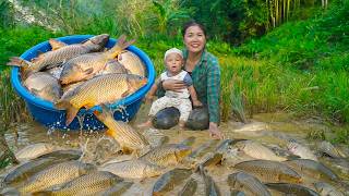 Lieu And Her Son Drained A Rice Field – Caught Dozens Of Giant Fish And Sold Them At The Market.