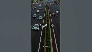 🌿 تلاوة تهز القلوب | ألم تعلم أن الله له ملك السماوات والأرض؟ 🎧✨